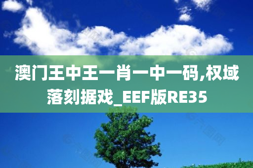 澳门王中王一肖一中一码,权域落刻据戏_EEF版RE35