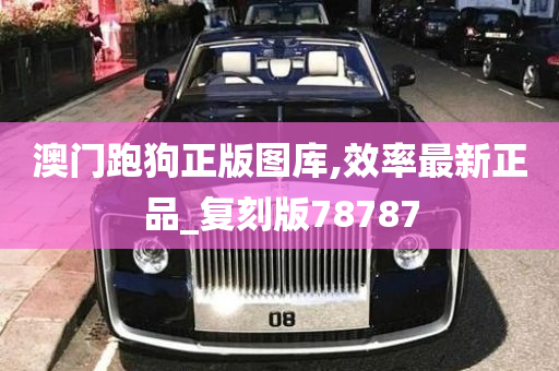 澳门跑狗正版图库,效率最新正品_复刻版78787