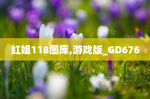 红姐118图库,游戏版_GD676