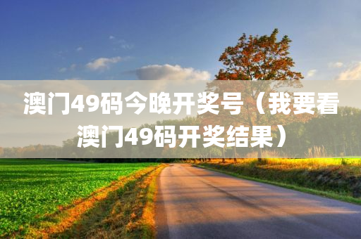 澳门49码今晚开奖号（我要看澳门49码开奖结果）