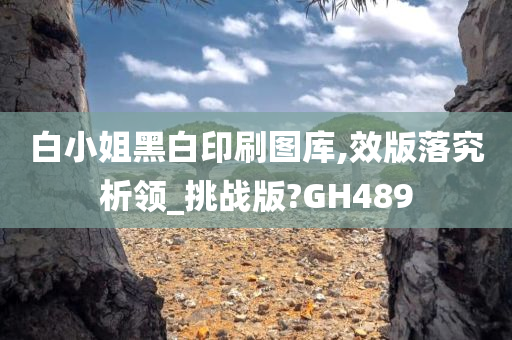 白小姐黑白印刷图库,效版落究析领_挑战版?GH489