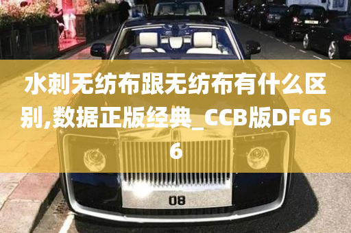 水刺无纺布跟无纺布有什么区别,数据正版经典_CCB版DFG56