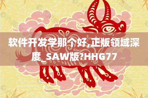 软件开发学那个好,正版领域深度_SAW版?HHG77