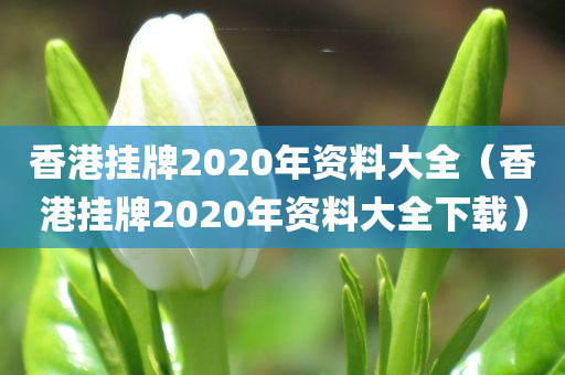 香港挂牌2020年资料大全（香港挂牌2020年资料大全下载）