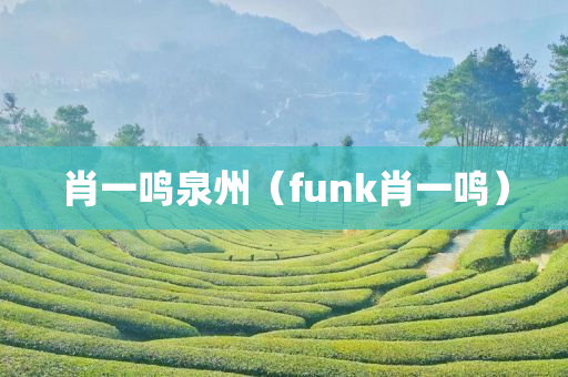 肖一鸣泉州（funk肖一鸣）