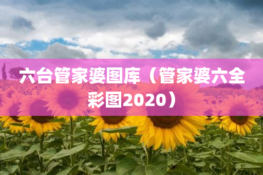 六台管家婆图库（管家婆六全彩图2020）