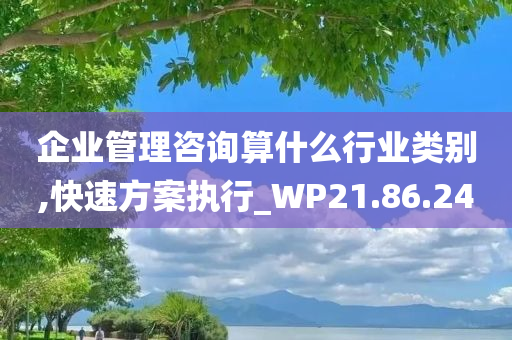 企业管理咨询算什么行业类别,快速方案执行_WP21.86.24