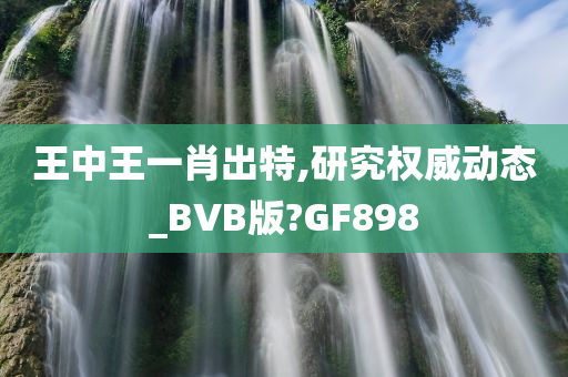 王中王一肖出特,研究权威动态_BVB版?GF898