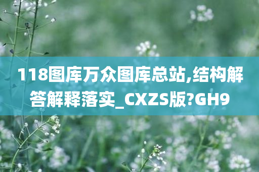 118图库万众图库总站,结构解答解释落实_CXZS版?GH9