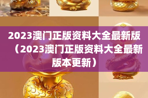 2023澳门正版资料大全最新版（2023澳门正版资料大全最新版本更新）