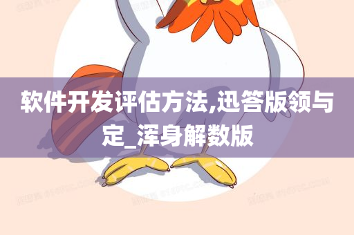 软件开发评估方法,迅答版领与定_浑身解数版