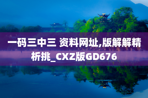 一码三中三 资料网址,版解解精析挑_CXZ版GD676