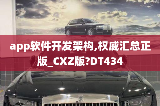 app软件开发架构,权威汇总正版_CXZ版?DT434