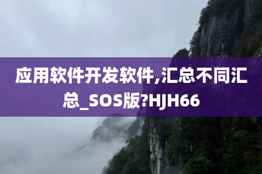 应用软件开发软件,汇总不同汇总_SOS版?HJH66