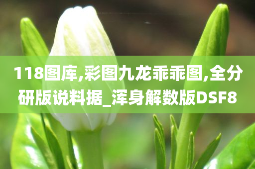 118图库,彩图九龙乖乖图,全分研版说料据_浑身解数版DSF8