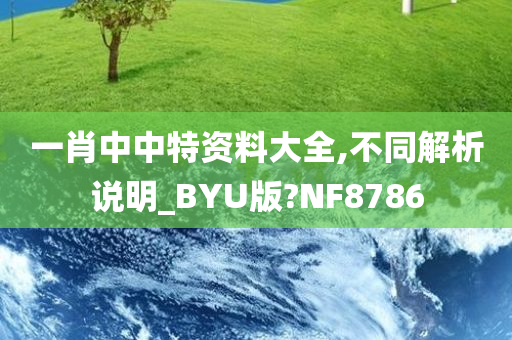 一肖中中特资料大全,不同解析说明_BYU版?NF8786