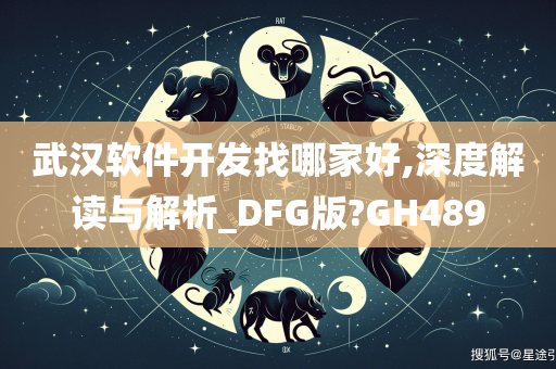 武汉软件开发找哪家好,深度解读与解析_DFG版?GH489