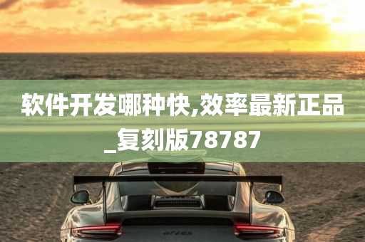 软件开发哪种快,效率最新正品_复刻版78787