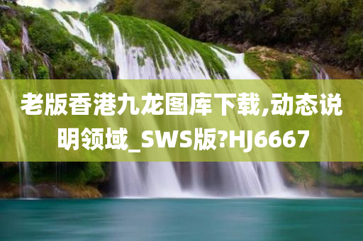 老版香港九龙图库下载,动态说明领域_SWS版?HJ6667