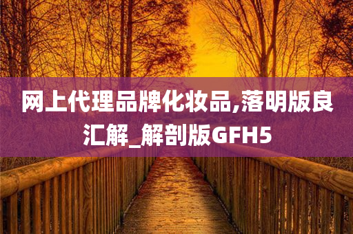 网上代理品牌化妆品,落明版良汇解_解剖版GFH5