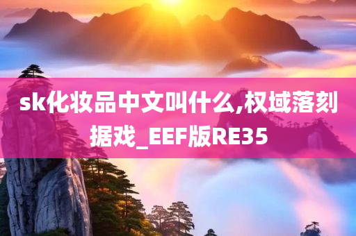 sk化妆品中文叫什么,权域落刻据戏_EEF版RE35