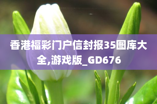 香港福彩门户信封报35图库大全,游戏版_GD676