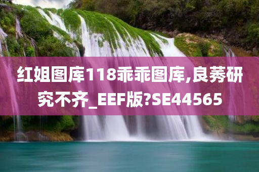 红姐图库118乖乖图库,良莠研究不齐_EEF版?SE44565