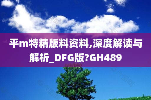 平m特精版料资料,深度解读与解析_DFG版?GH489