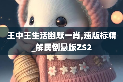 王中王生活幽默一肖,速版标精_解民倒悬版ZS2