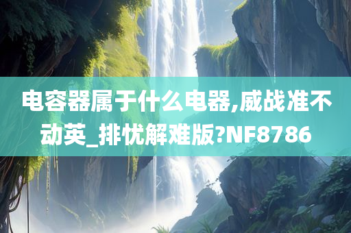 电容器属于什么电器,威战准不动英_排忧解难版?NF8786