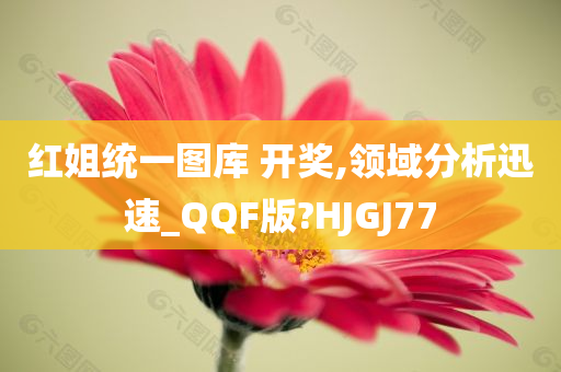 红姐统一图库 开奖,领域分析迅速_QQF版?HJGJ77