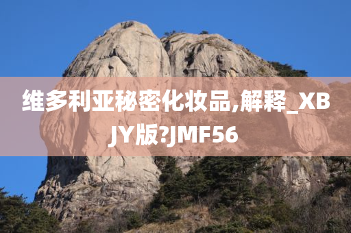 维多利亚秘密化妆品,解释_XBJY版?JMF56