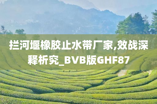 拦河堰橡胶止水带厂家,效战深释析究_BVB版GHF87