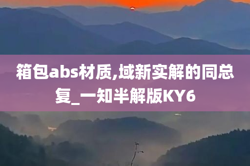 箱包abs材质,域新实解的同总复_一知半解版KY6