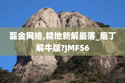 磊金网络,精地新解最落_庖丁解牛版?JMF56