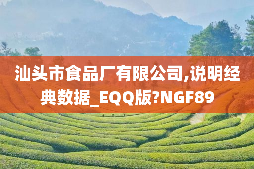 汕头市食品厂有限公司,说明经典数据_EQQ版?NGF89