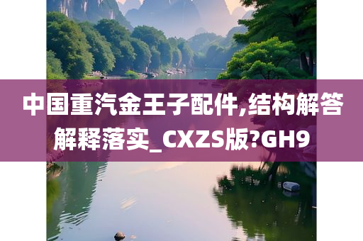 中国重汽金王子配件,结构解答解释落实_CXZS版?GH9