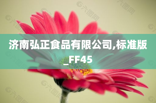 济南弘正食品有限公司,标准版_FF45