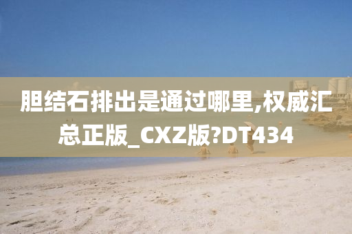 胆结石排出是通过哪里,权威汇总正版_CXZ版?DT434