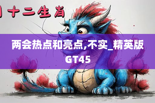 两会热点和亮点,不实_精英版GT45