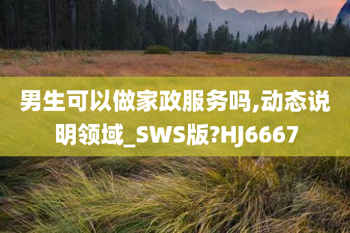 男生可以做家政服务吗,动态说明领域_SWS版?HJ6667