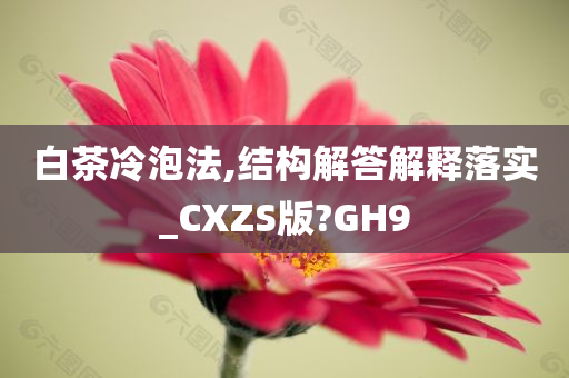 白茶冷泡法,结构解答解释落实_CXZS版?GH9