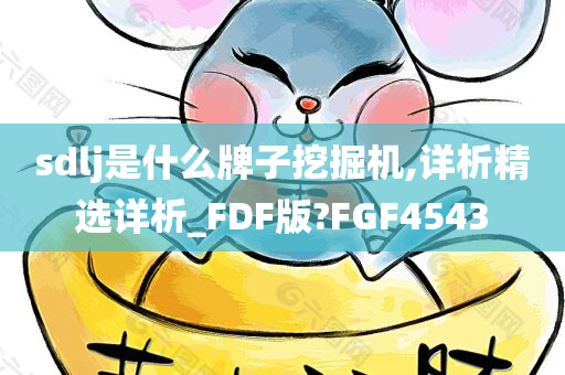 sdlj是什么牌子挖掘机,详析精选详析_FDF版?FGF4543