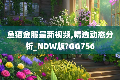 鱼猫金服最新视频,精选动态分析_NDW版?GG756