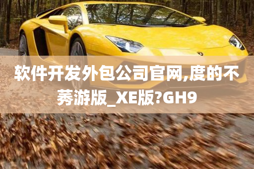 软件开发外包公司官网,度的不莠游版_XE版?GH9