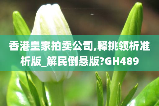 香港皇家拍卖公司,释挑领析准析版_解民倒悬版?GH489