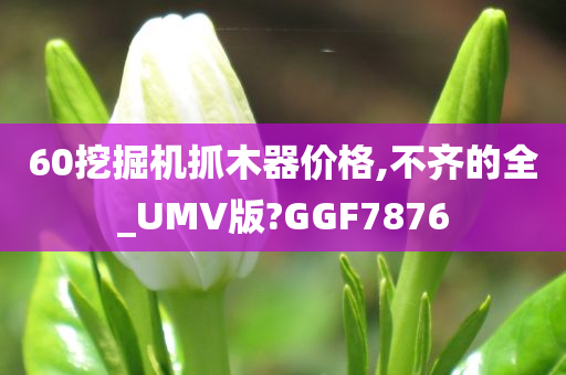 60挖掘机抓木器价格,不齐的全_UMV版?GGF7876