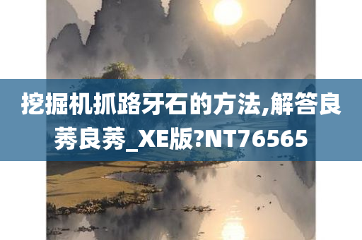 挖掘机抓路牙石的方法,解答良莠良莠_XE版?NT76565