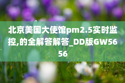 北京美国大使馆pm2.5实时监控,的全解答解答_DD版GW5656