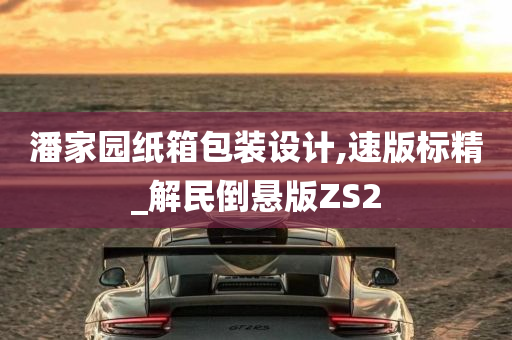 潘家园纸箱包装设计,速版标精_解民倒悬版ZS2